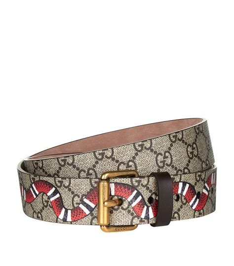 gucci snale belt|gucci snake wallet men's.